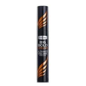 ریمل حجم دهنده 14 میل ایزادورا Big Bold Extreme