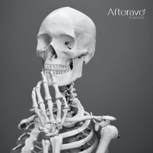 61kLUdy53DL. AC SX679