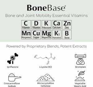 71REEyKChOL. AC SX679