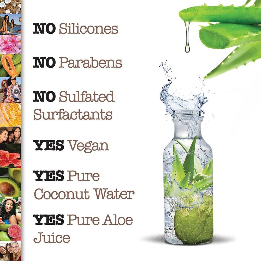 شامپو شیر نارگیل و آلوئه ورا مائویی مخصوص موی خشک | حجم 385 میل 3 شامپو شیر نارگیل و آلوئه ورا مائویی مخصوص موی خشک | حجم 385 میل - Image 3