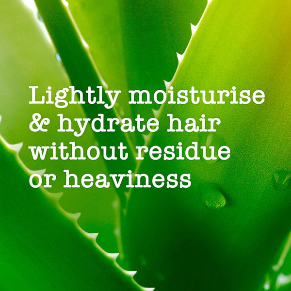 شامپو مواد معدنی دریایی مائویی آبرسان و تثبیت موهای رنگ شده | مدل Sea Minerals 3 شامپو مواد معدنی دریایی مائویی آبرسان و تثبیت موهای رنگ شده | مدل Sea Minerals - Image 3