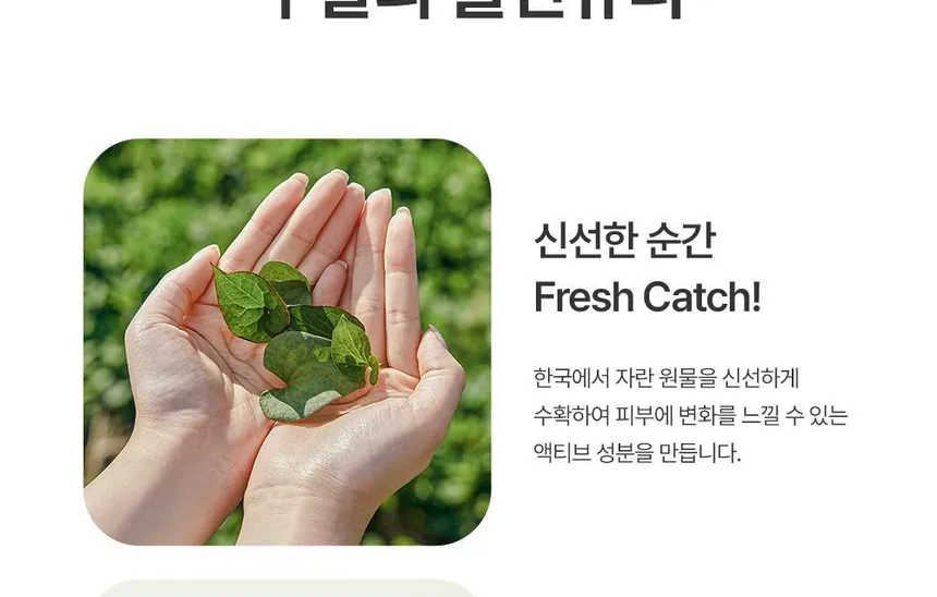 ضد آفتاب تسکین دهنده گودال حاوی هوتوینیا کورداتا 50 میلی لیتر 16 ضد آفتاب تسکین دهنده گودال حاوی هوتوینیا کورداتا 50 میلی لیتر - Image 16