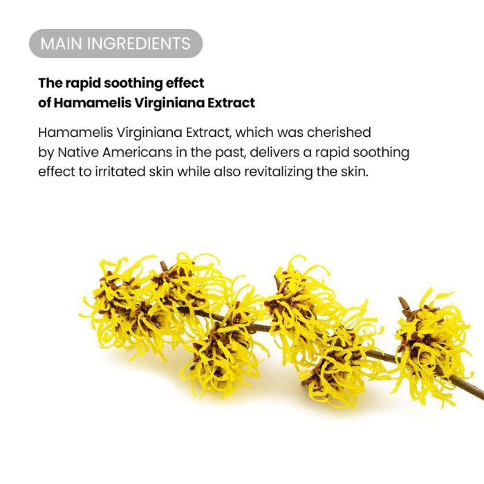 سرم SOS تیر تیر ضد چین و چروک و مرطوب کننده TIRTIR 50ML 4 سرم SOS تیر تیر ضد چین و چروک و مرطوب کننده TIRTIR 50ML - Image 4