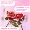 رژگونه کرمی گل رز شیگلم Sheglam Pink Ribbon Rose Blush - Image 3