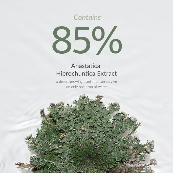 تونر آبرسان و لیفتیگ دکتر التیا Anastatica Skin Conditioning Toner 4 تونر آبرسان و لیفتیگ دکتر التیا Anastatica Skin Conditioning Toner - Image 4