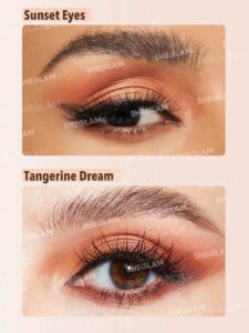 پالت سایه چشم مدل Status Symbol شیگلم 5 17029720693252738dc7b76d2bb60eee7fa8395d99 wk sheglam